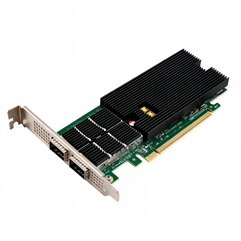 Dual-Port 100g Smart Network Card